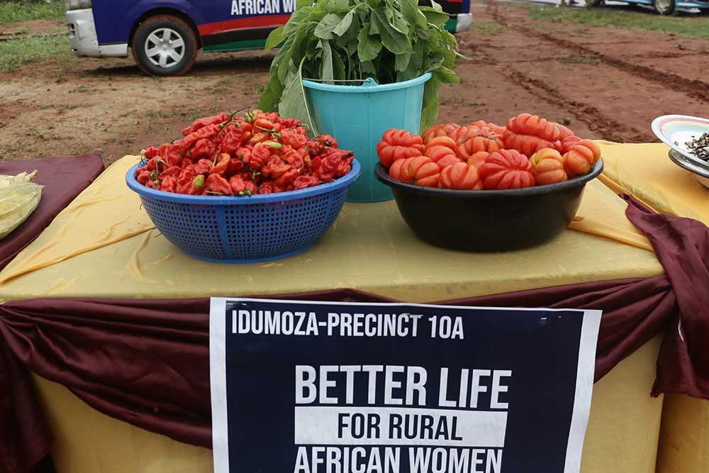Better Life Africa Produce